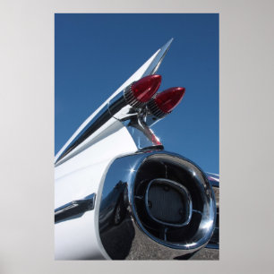 Schwanz-Flosse Poster