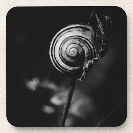 Schwanz Getränkeuntersetzer (Vorderseite)