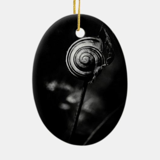 Schwanz Keramik Ornament (Hinten)