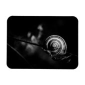 Schwanz Magnet (Horizontal)