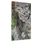 "Schwanz Mushrooms der Türkei" Klemmbrett (Rechts)
