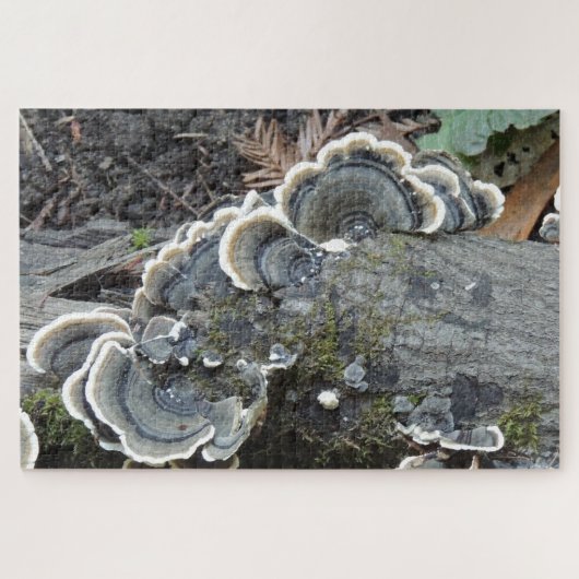 Schwanz Mycelium Puzzle (Horizontal)