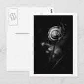 Schwanz Postkarte (Vorne/Hinten)