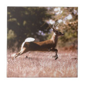 Schwanz-Rotwild-Betrieb Fliese (Vorderseite)