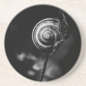 Schwanz Sandstein Untersetzer (Vorne)