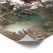 Schwanz Spot Blenny in S-Pose Poster (Ecke)