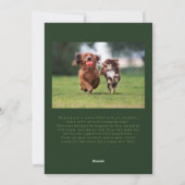 Schwanz & Tinsel Dog Foto Grün Weihnachten (Rückseite)