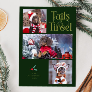 Schwanz & Tinsel Dog Foto Grün Weihnachten