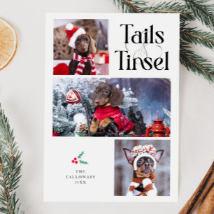 Schwanz & Tinsel Dog Foto Weißes Weihnachten