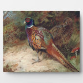 Schwanz und Henne Fotoplatte (Vorderseite)