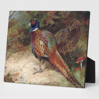 Schwanz und Henne Fotoplatte