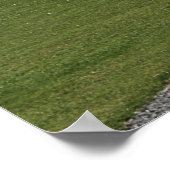 Schwanz-Up-Chat Poster (Ecke)