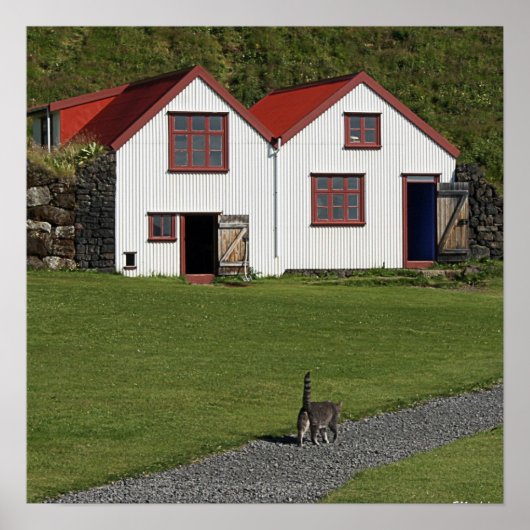 Schwanz-Up-Chat Poster (Vorne)