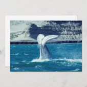 Schwanz von Whale - Argentinien Einladung (Vorne/Hinten)