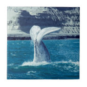 Schwanz von Whale - Argentinien Fliese (Vorderseite)