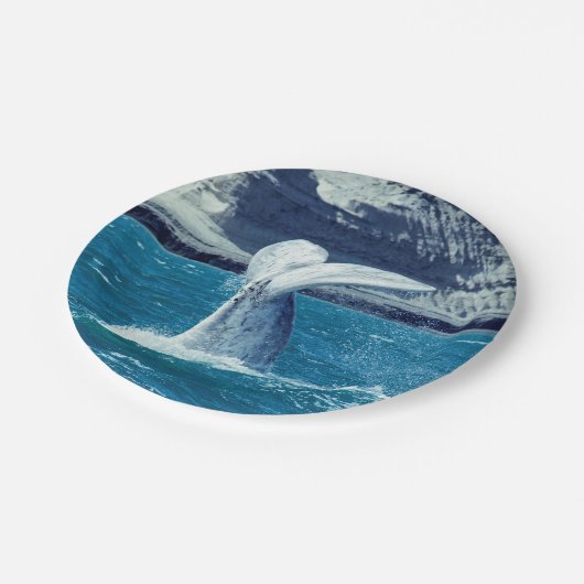 Schwanz von Whale - Argentinien Pappteller (Schrägansicht)