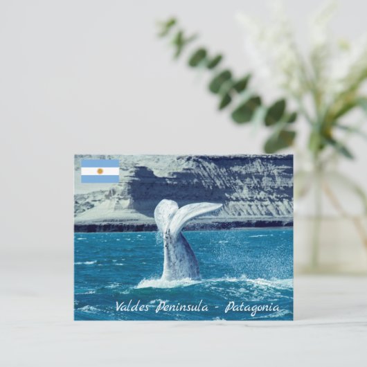 Schwanz von Whale - Argentinien Postkarte (Stehend Vorderseite)