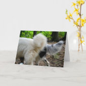 Schwanz-Wagging Weisen-/Jahrestags-Karte Karte (Gelbe Blume)