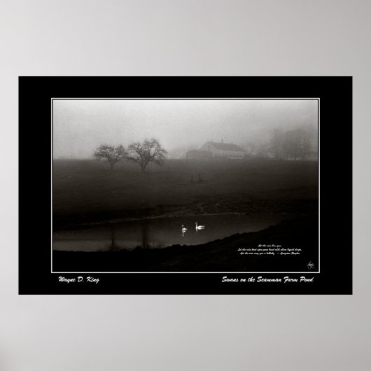 Schwänze auf dem Poster des Schamanenbaums - w/Ged (Vorne)