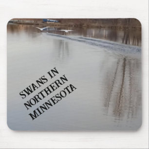 Schwänze, die in der Maus starten Mousepad