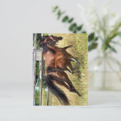 Schwänze hoch postkarte (Stehend Vorderseite)