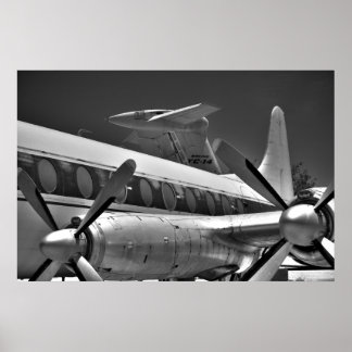 Schwänze und Propeller in Schwarz und Weiß Poster