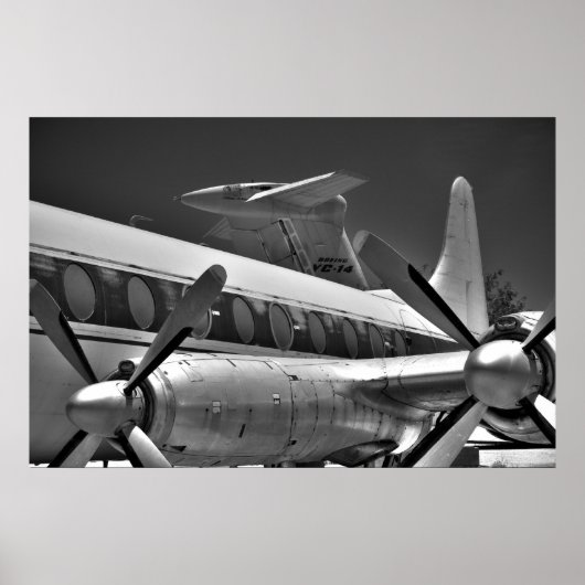 Schwänze und Propeller in Schwarz und Weiß Poster (Vorne)