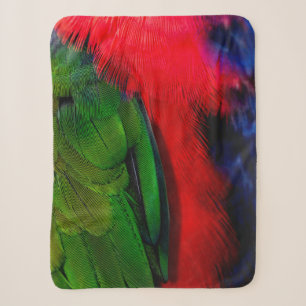 Schwänze von grünen und roten Vogelarten Sherpadecke