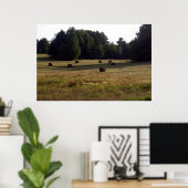 Schwänze von Hay Poster (Heimbüro)