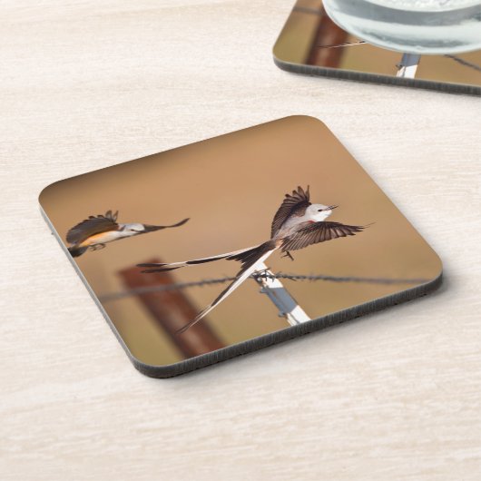 Schwanzflieger (Tyrannus Forficatus) Untersetzer (Linke Seite)