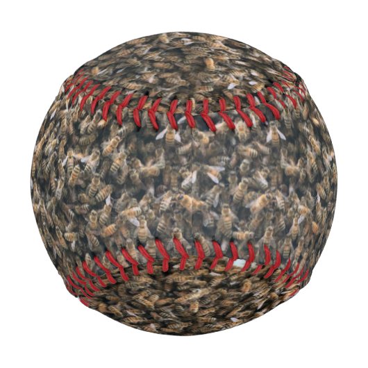 Schwarm Baseball (Rückseite)