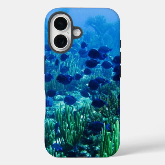 Schwarm blauer Diskusfische Unterwasserfoto Case-Mate iPhone Hülle (Rückseite)