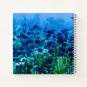 Schwarm blauer Diskusfische Unterwasserfoto Notizblock (Rückseite)