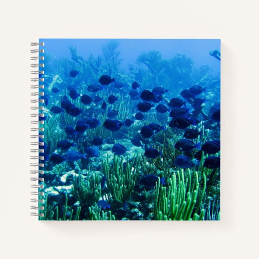 Schwarm blauer Diskusfische Unterwasserfoto Notizblock (Vorderseite)