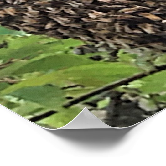 Schwarm der Bienen Poster (Ecke)