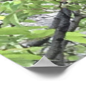 Schwarm der Bienen Poster (Ecke)