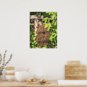 Schwarm der Bienen Poster (Küche)