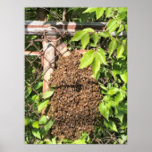 Schwarm der Bienen Poster (Vorne)