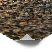 Schwarm Poster (Ecke)