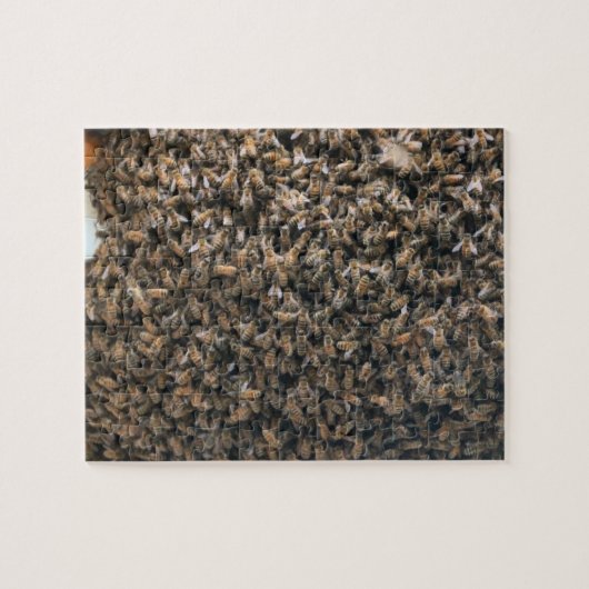 Schwarm Puzzle (Horizontal)