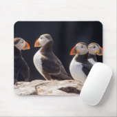 Schwarm von Papageientauchern Mousepad (Mit Mouse)