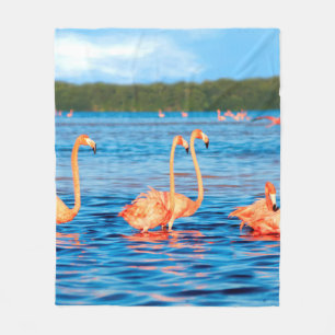 Schwärme von schönen rosa Flamingos im Celestun Fleecedecke