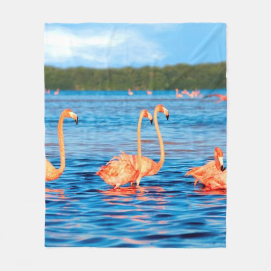 Schwärme von schönen rosa Flamingos im Celestun Fleecedecke (Vorderseite)