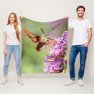 Schwärmer auf einer Schmetterlingsflieder  Fleecedecke