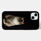 Schwarz 4 Luxe, Birmanische Katze iPhone 15 Plus Case-Mate iPhone Hülle (Rückseite (Horizontal))
