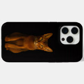 Schwarz 4 Luxe iPhone 15 Pro Max, Abyssinische Sch Case-Mate iPhone Hülle (Rückseite (Horizontal))