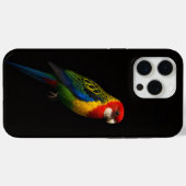 Schwarz 4 Luxe iPhone 15 Pro Max, Eastern Rosella Case-Mate iPhone Hülle (Rückseite (Horizontal))