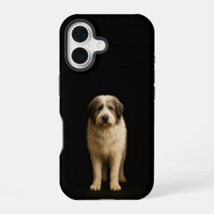 Schwarz 4 Luxe iPhone 16 Mate, Mioritic Shepherd Hülle