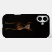 Schwarz 4 Luxe iPhone 16 Plus, Argentinien Pila Do Case-Mate iPhone Hülle (Rückseite (Horizontal))