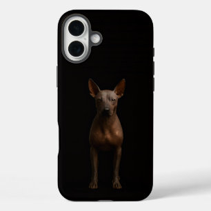 Schwarz 4 Luxe iPhone 16 Plus, Argentinien Pila Do Plus Hülle